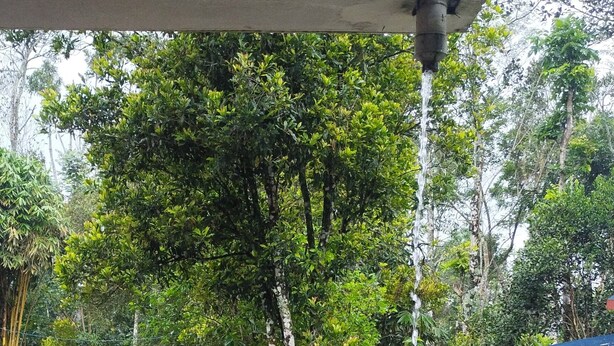 Un jardín con plantas en macetas, una fuente de agua y un sendero rojo.