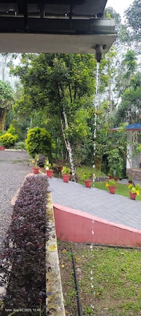 Enceinte de l’hébergement. Enchanting 4-bedroom farm house in Thekkady,Kumily,Kerala Idukki. A spiceFarm