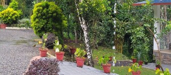 Enchanting 4-bedroom farm house in Thekkady,Kumily,Kerala Idukki. A spiceFarm
