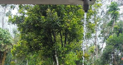 Enchanting 4-bedroom farm house in Thekkady,Kumily,Kerala Idukki. A spiceFarm