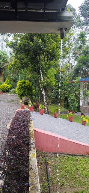 Un espace jardin aménagé avec des plantes en pot, un élément décoratif aquatique et un chemin de couleur rouge.
