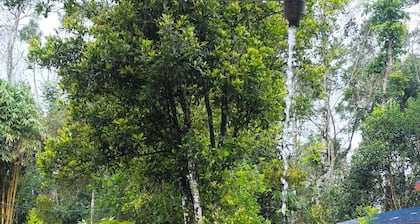 Enchanting 4-bedroom farm house in Thekkady,Kumily,Kerala Idukki. A spiceFarm