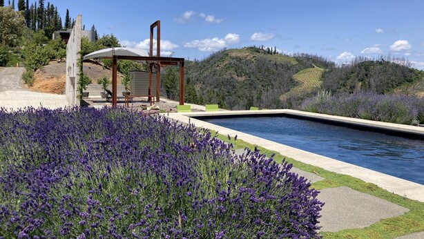 A pool with a surrounding garden of lavender, a wooden pergola, and a view of a hilly landscape. - Healdsburg Modern Retreat - Pool, Views & Design (Healdsburg)