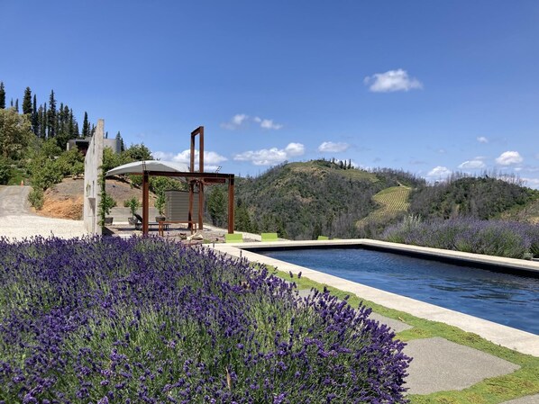 Pool - Healdsburg Modern Retreat - Pool, Views & Design (Healdsburg)