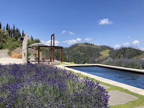 Pool - Healdsburg Modern Retreat - Pool, Views & Design (Healdsburg)