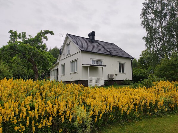 A white house with a dark roof, surrounded by a field of yellow flowers.