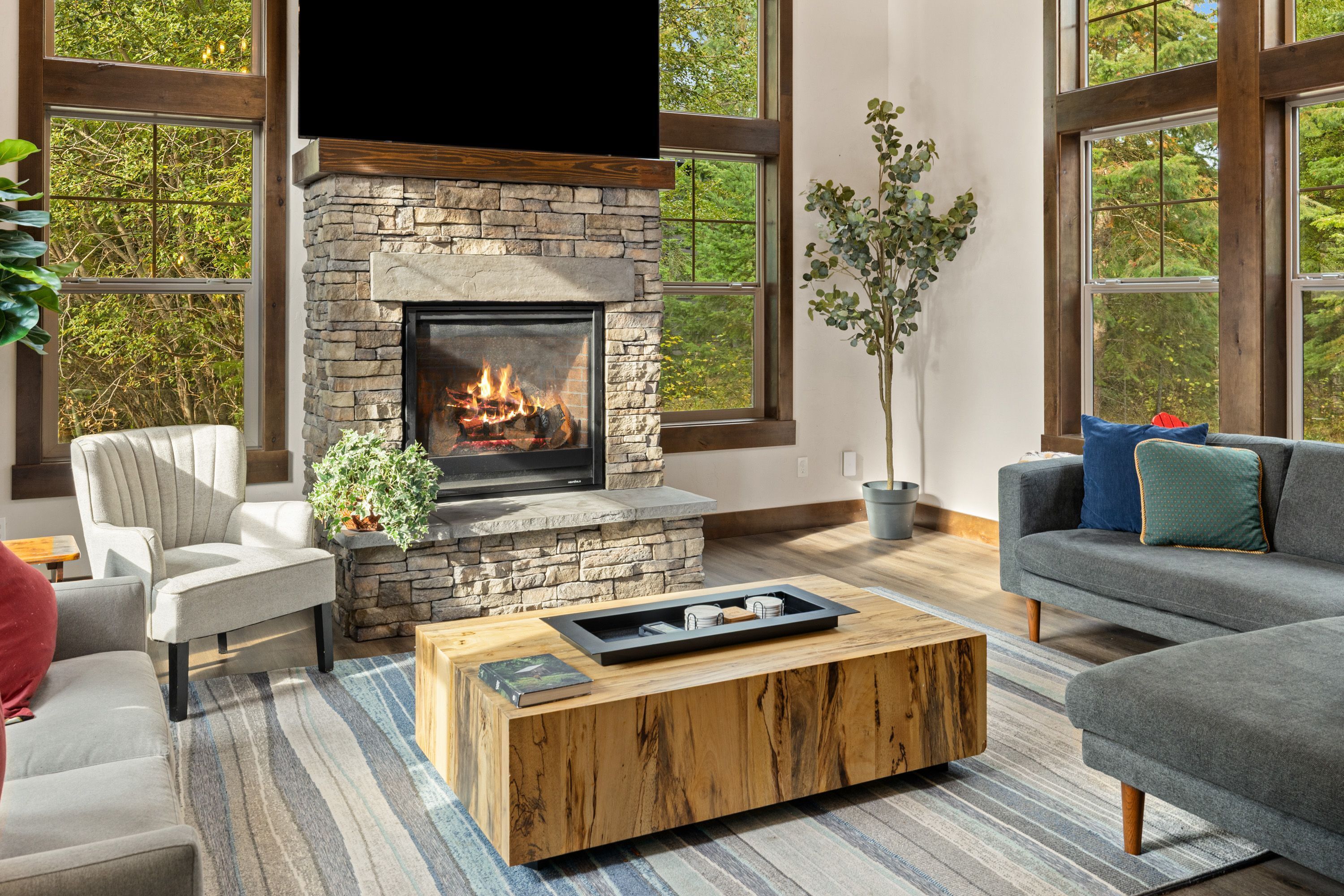 TV, fireplace, table tennis, books