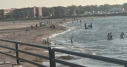 “Rancho” by the Lake 1 block from Lake Erie