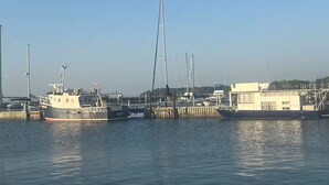 A marina with several boats docked, a bridge in the background, and a clear sky. - “Rancho” by the Lake 1 block from Lake Erie (Dunkirk)