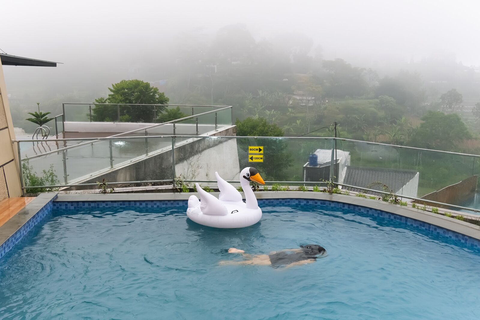 A swimming pool with a swan float and a person swimming.