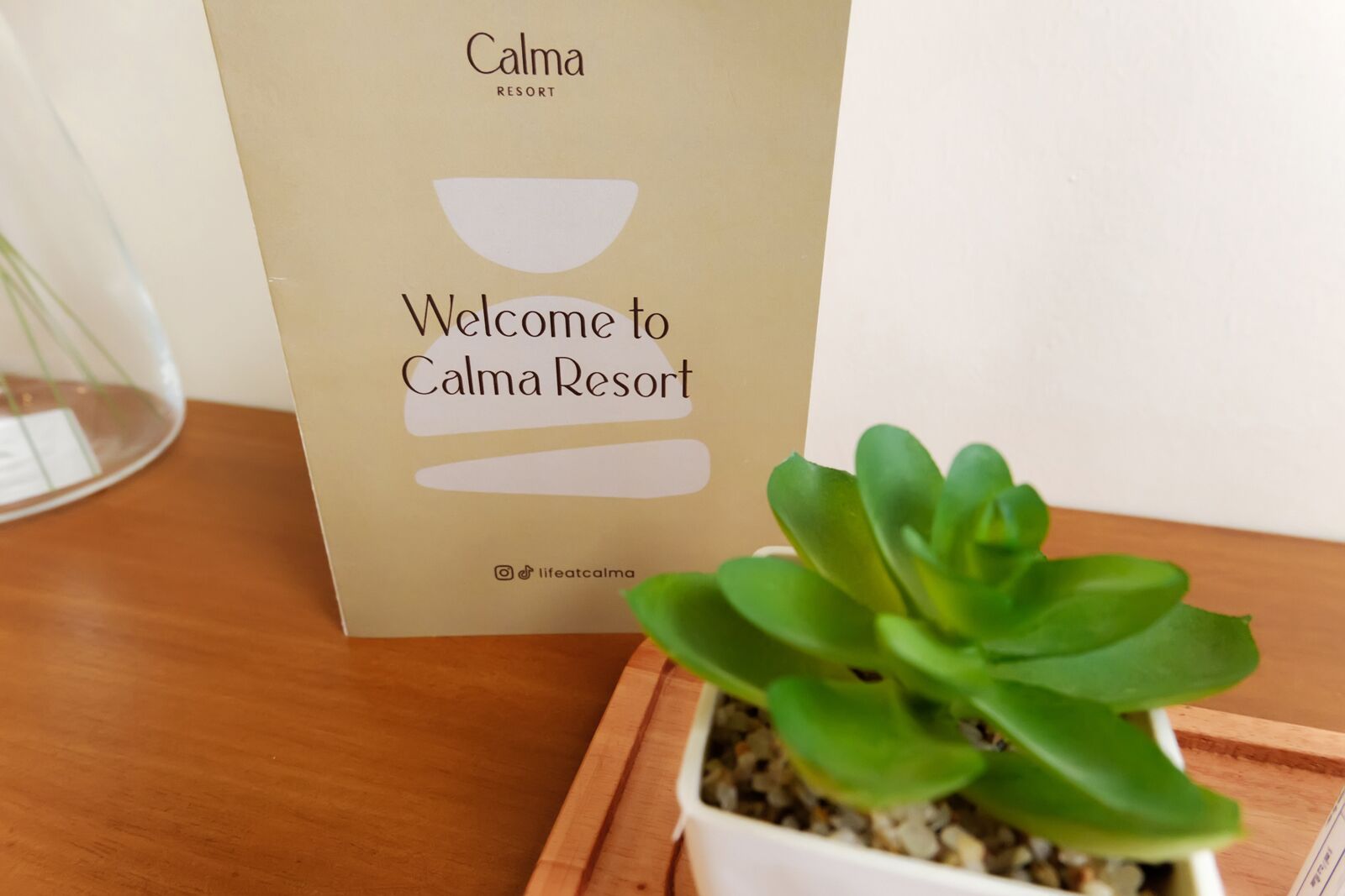 A welcome sign for Calma Resort with a small succulent plant beside it.