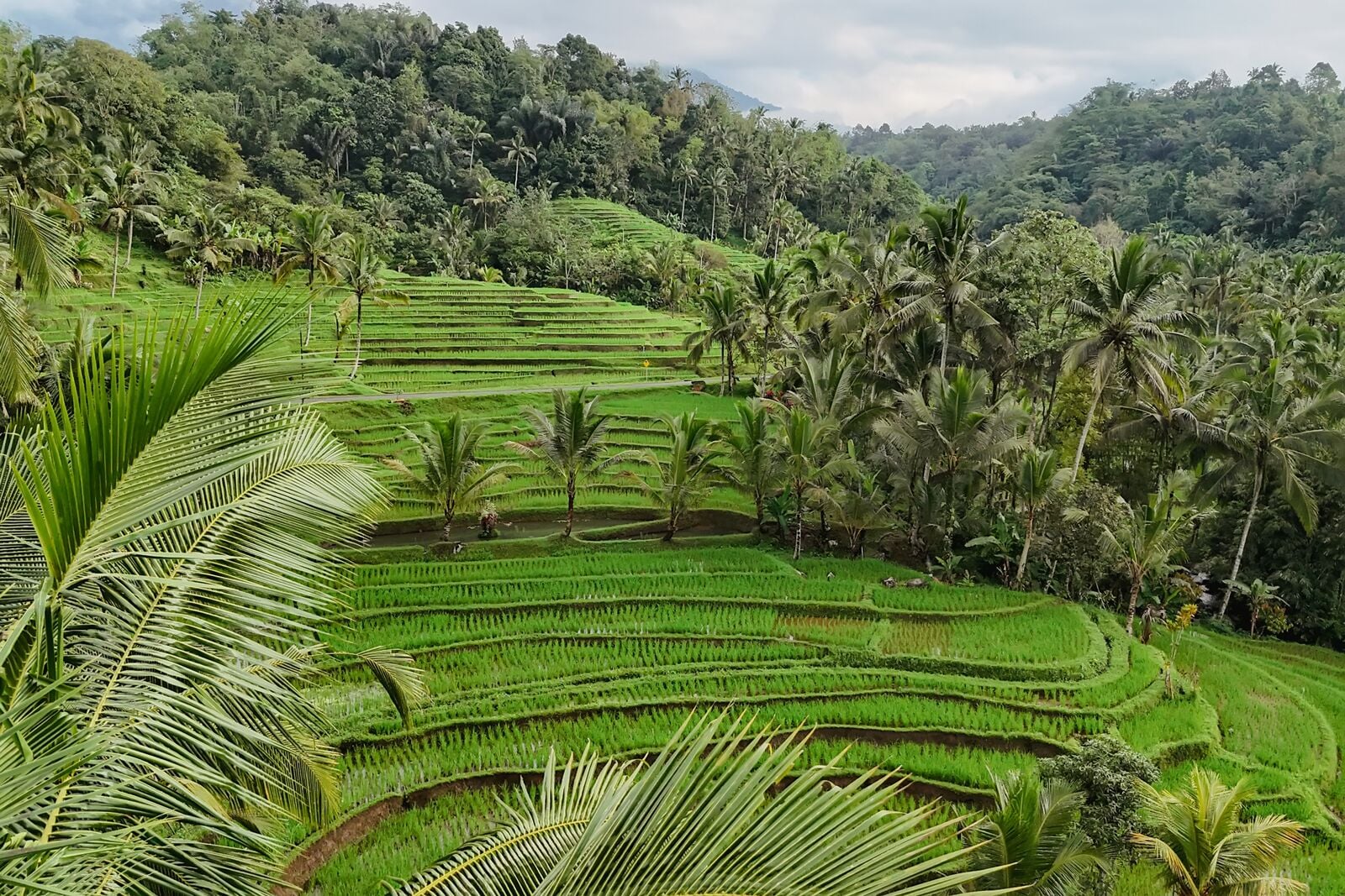 숙박 시설의 전망