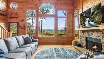 Smart TV, fireplace, video games, books