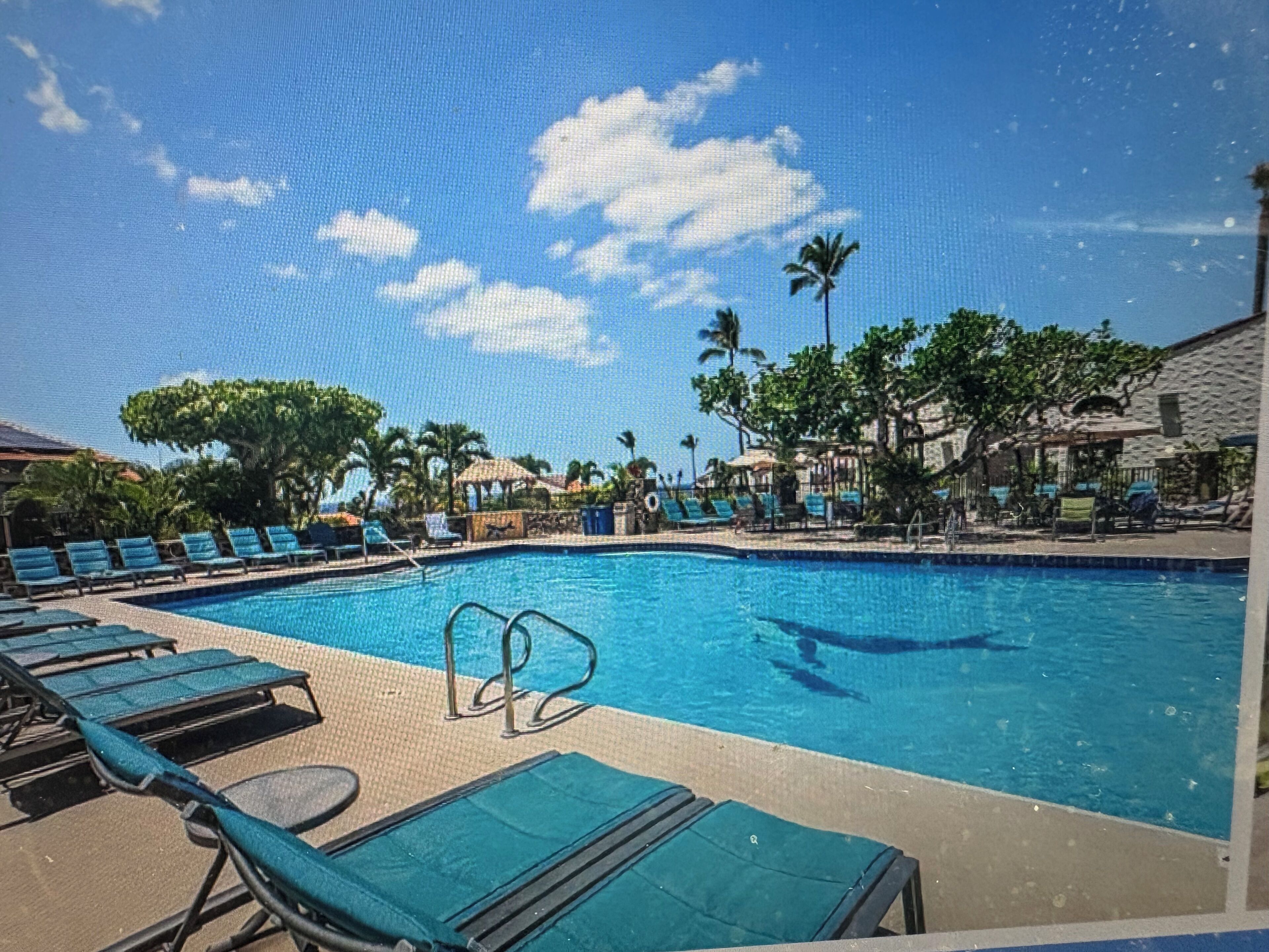 A swimming pool with lounge chairs and palm trees.