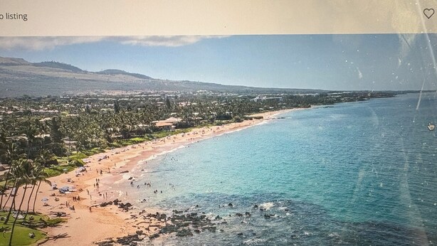 A coastal beach with clear blue waters, sandy shore, and palm trees.