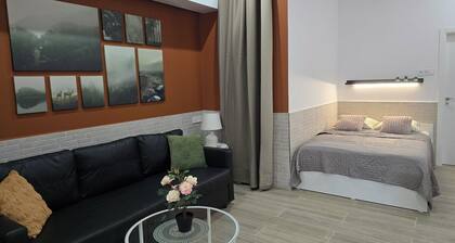 Apartamentos Vicent Clavel