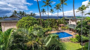 A pool surrounded by lush greenery and palm trees, with a clear blue sky above.