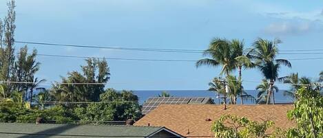 A residential area with houses, solar panels, and palm trees.
