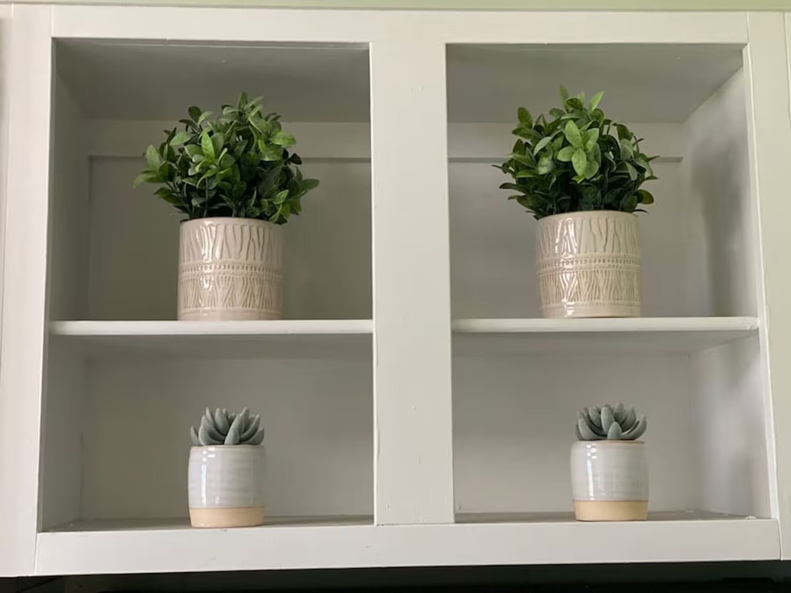 A white cabinet with two shelves, each holding a potted plant.