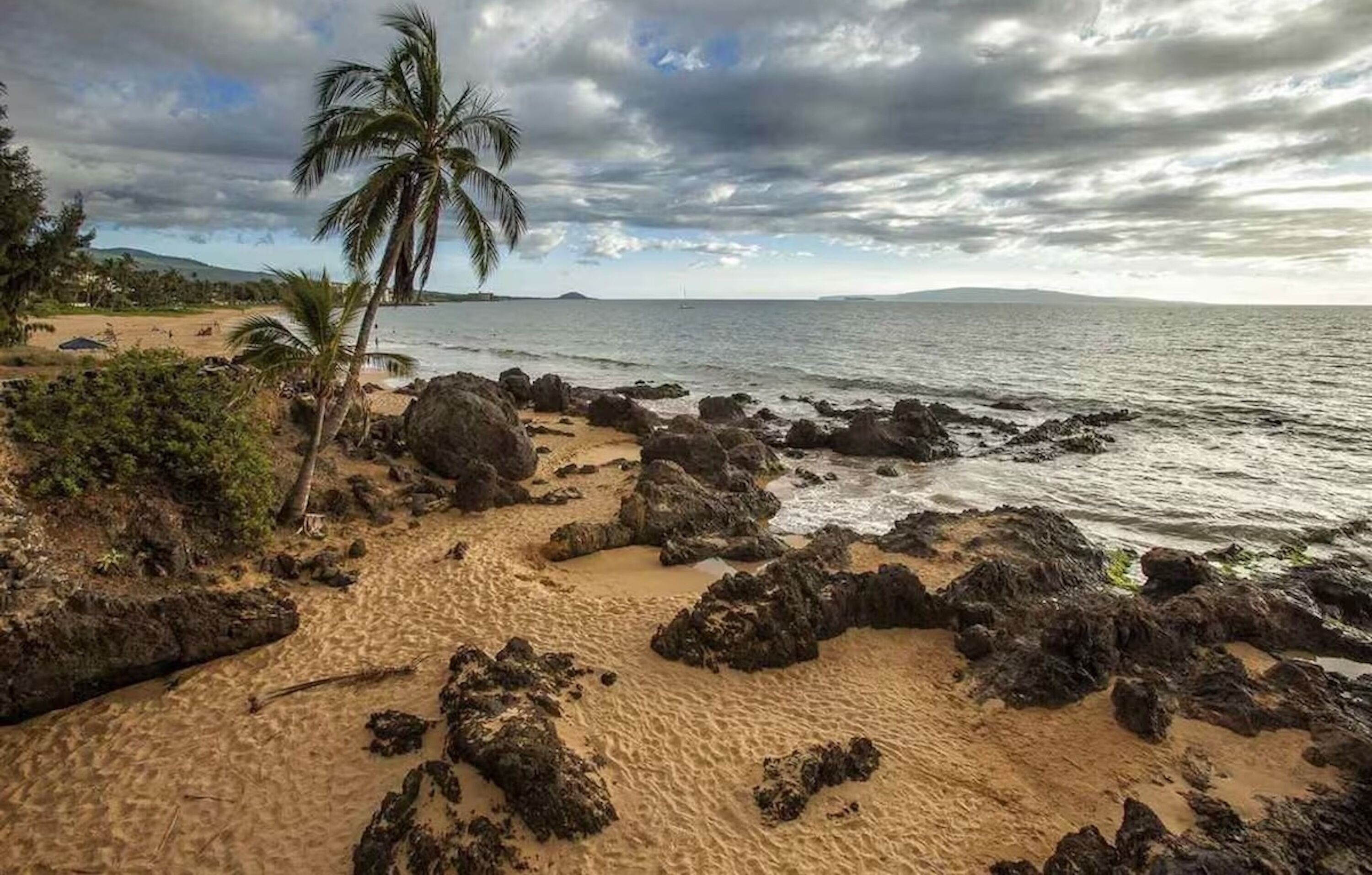 A beach with rocky terrain, palm trees, and a view of the ocean.