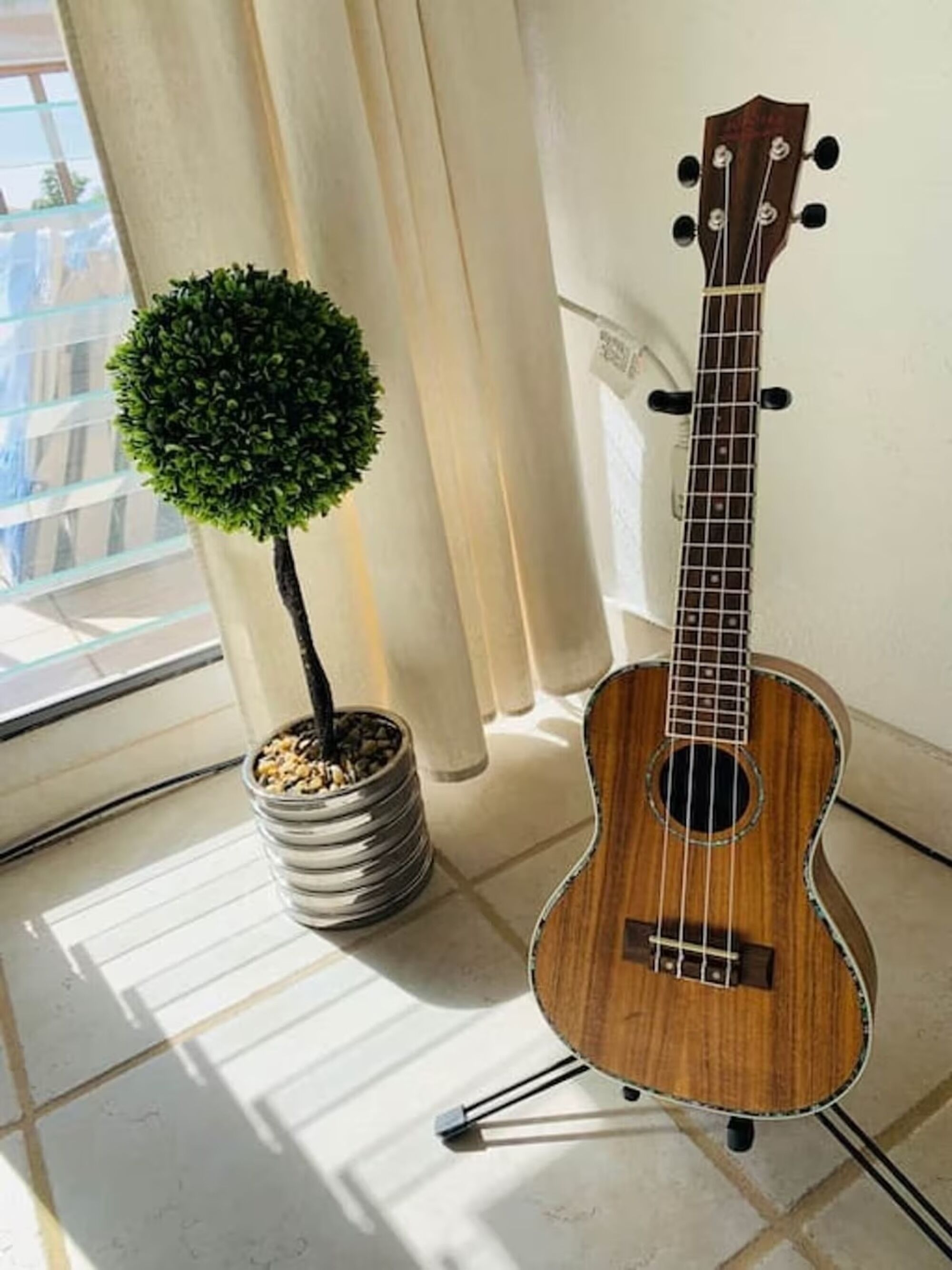 A ukulele on a stand in a room with a potted plant and a window with curtains.