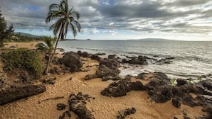 Une plage au paysage rocheux, bordée de palmiers, d’où l’on peut admirer l’océan.