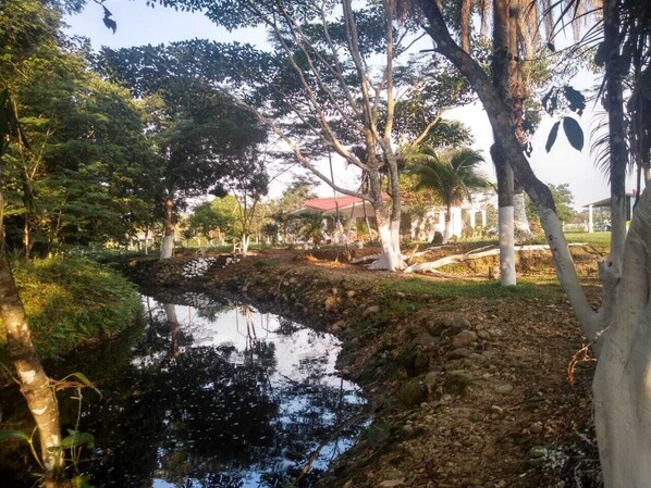 Property grounds