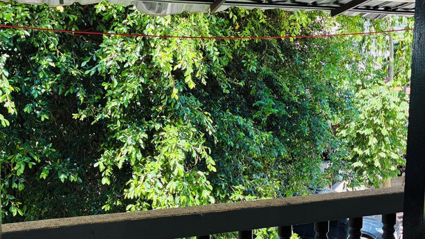 Ein Balkon mit Blick auf üppiges Grün und ein geparktes Auto.
