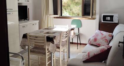 Bright one-bedroom apartment with kitchen near beaches and canal port.