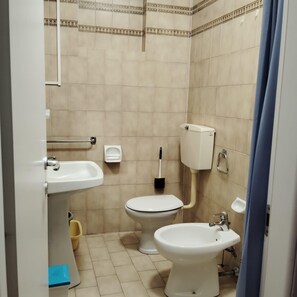 Shower, hair dryer, bidet, towels