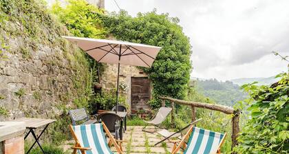 House with 5 bedrooms, garden, pets allowed