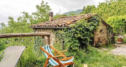 House with 5 bedrooms, garden, pets allowed
