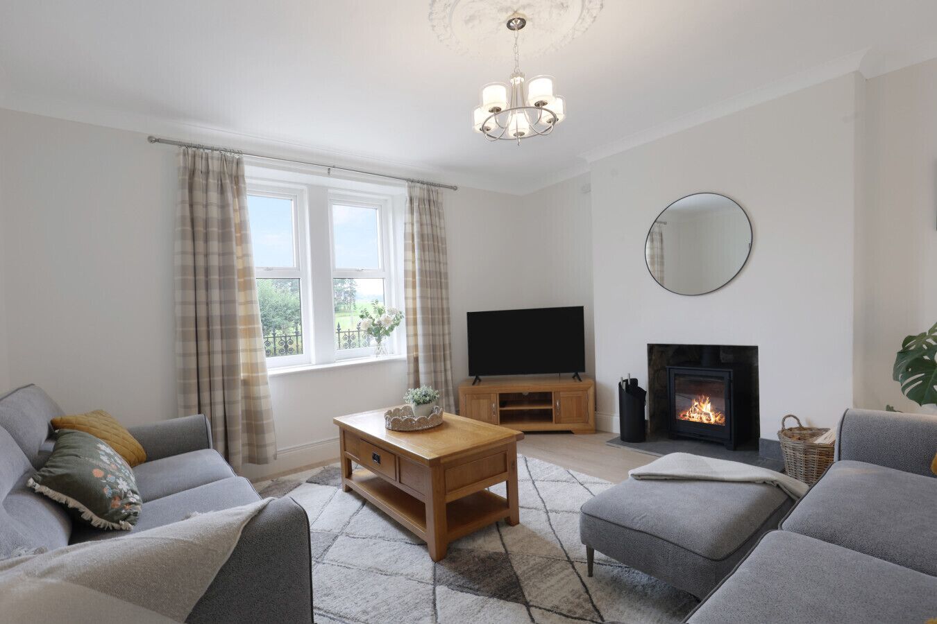 Smart TV, fireplace, books