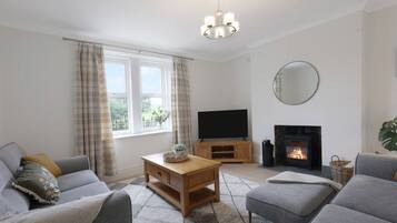 Smart TV, fireplace, books