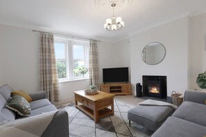 Smart TV, fireplace, books