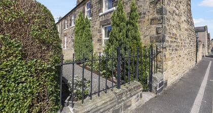 Hollyhocks - North East Escapes