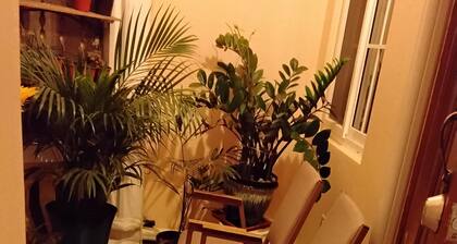 Charming Sunflower Place Bed and breakfast in Portmore with AC.& Beach close by
