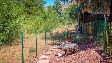 Jardines del alojamiento