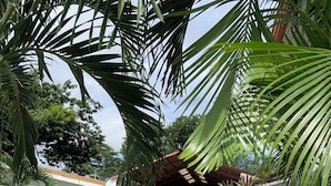 A swimming pool surrounded by tropical plants and a white building with a tiled roof.