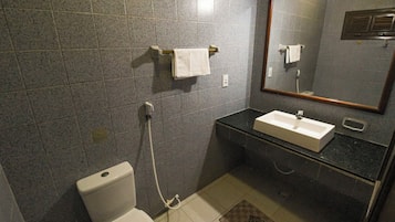Shower, towels, toilet paper