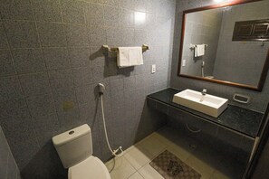 Shower, towels, toilet paper