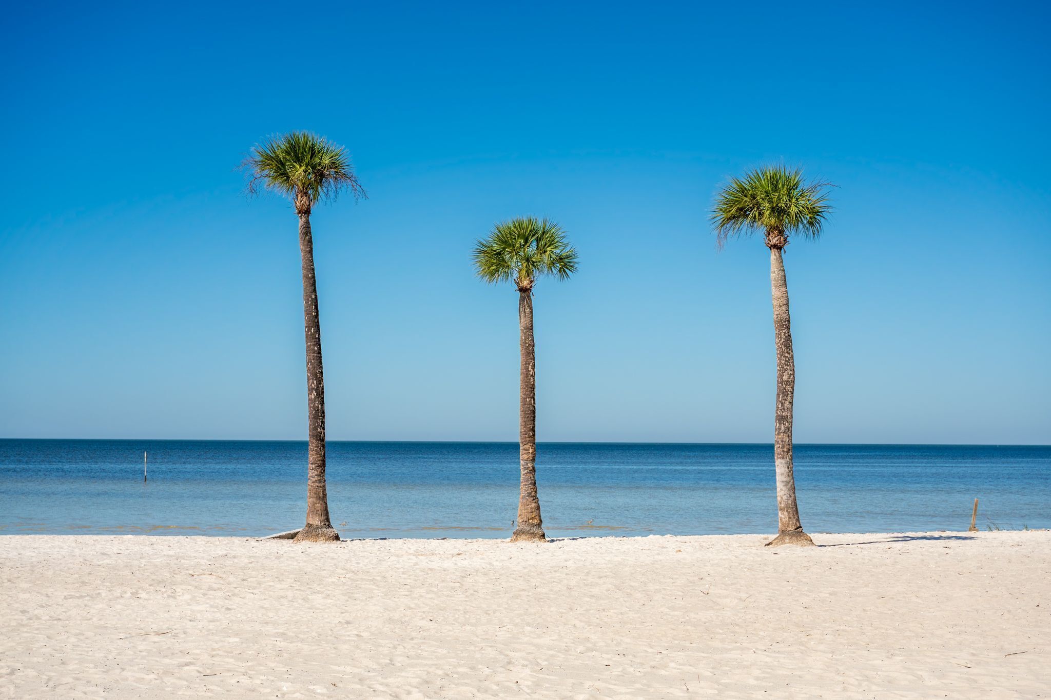 ビーチの近く、ビーチタオル