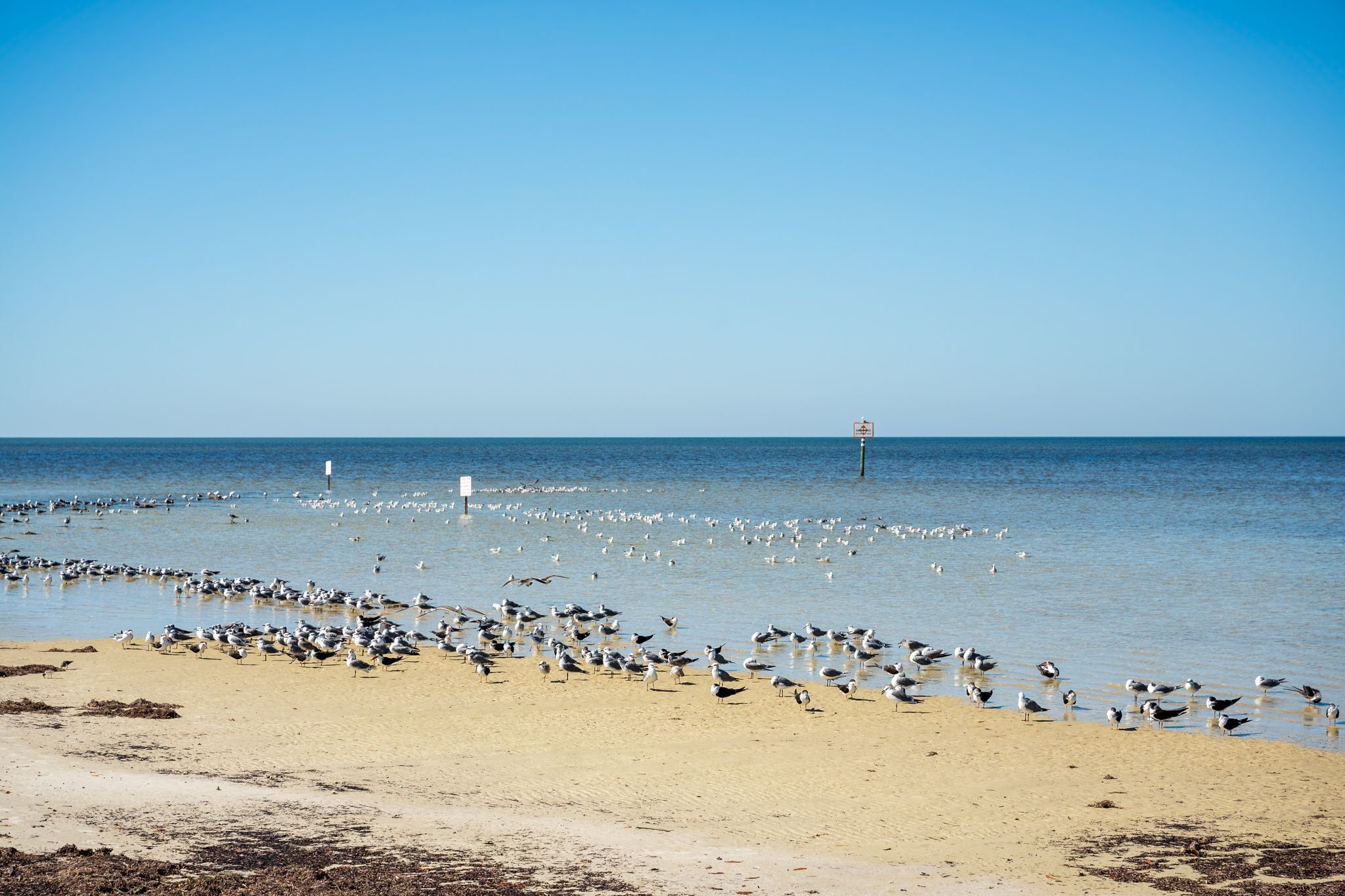 Ranta lähistöllä, rantapyyhkeitä