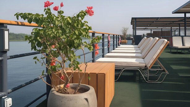 A deck with lounge chairs and a potted plant with red flowers. - Nile Cruise Essence every Monday from Aswan 3 nights and every Thursday from Luxor 4 nights (Aswan)