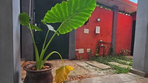 En krukväxt med ett stort grönt blad och ett gult parasoll på en terrass med kakelplattor.