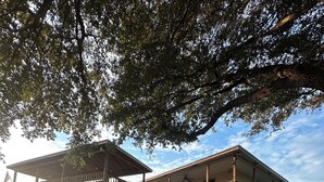 A two-story house with a wooden deck, a stone pathway, and a grassy yard. - Waterfront Getaway - With Boat Parking and Access to Lake Conroe!! (Willis)
