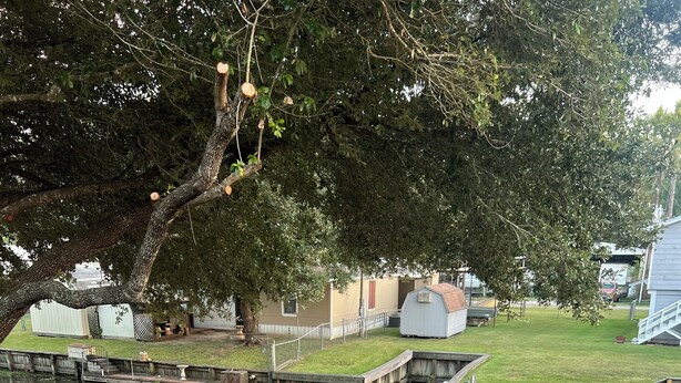 A boat docked at a marina with a wooden dock, stone pathway, and a grassy area with a small shed in the background. - Waterfront Getaway - With Boat Parking and Access to Lake Conroe!! (Willis)