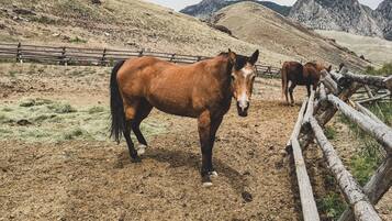 A horse in a fenced area with a mountainous backdrop.