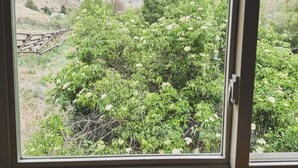 A window view of a mountainous landscape with greenery and a wooden structure in the foreground. - Scenic Studio Retreat- Steps to Goldbug Hot Springs (Salmon)