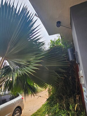 Exterior detail - Home residence Ouidah (Ouidah)